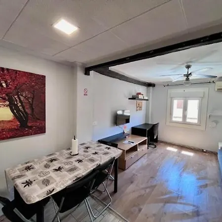 Full Equipped Apartment Elche